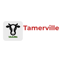 Tamerville